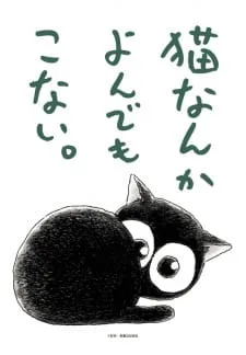 Cats Don't Come When Called