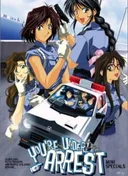 You're Under Arrest Mini Specials